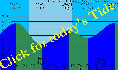 Sorry, Website seems to be having trouble!